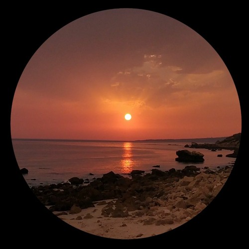 Pelucabesa - Molecular