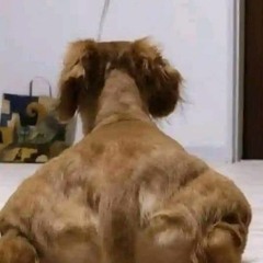 i impregnated ur mom