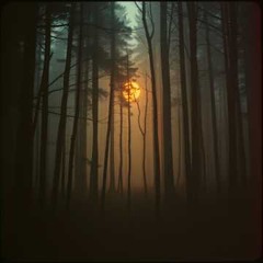 Truth in Silence