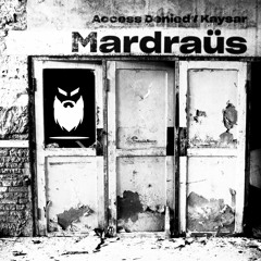 TH295 Mardraüs_Access Denied