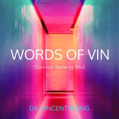 WORDS OF VIN (SURVIVOR KENERGY MIX)