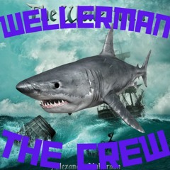 Wellerman Remix
