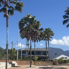 𝒫𝓇𝑒𝓉𝓉𝓎 𝒲𝑜𝓂𝒶𝓃🔥🫳🏽🎶.