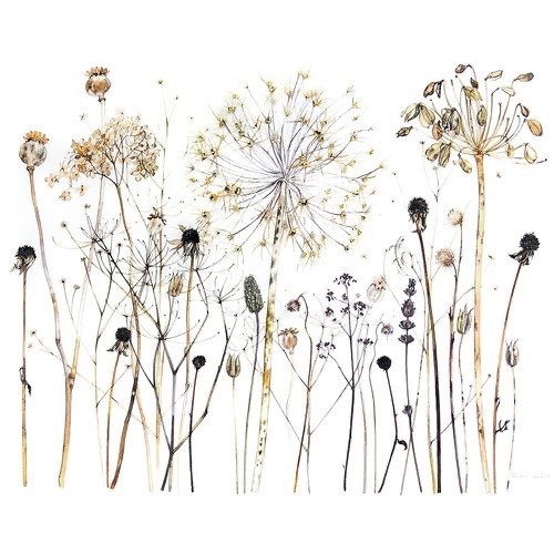 all my fault (Waystalker)