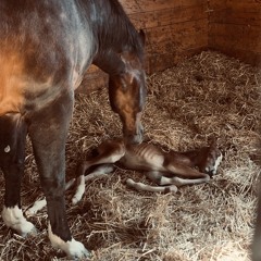 Sommarremix ☀️💘