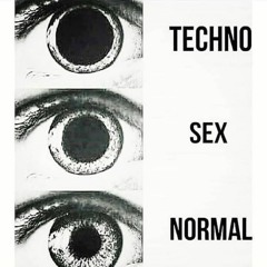 TECHNO, SEX, NORMAL (Melodic & Techno Mix)