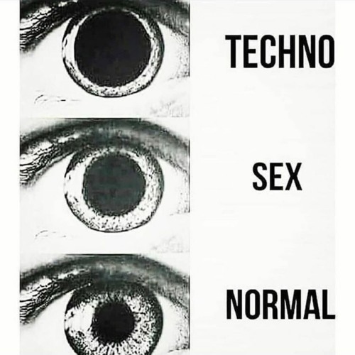 TECHNO, SEX, NORMAL (Melodic & Techno Mix)