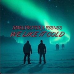 9S3NS3 X SMELTBOTER - LIKE IT COLD (FREE DL)