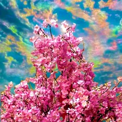 Cherry Blossom(Prod. Icarus)