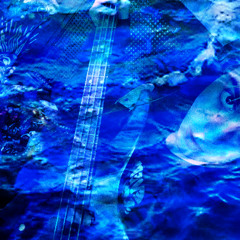 Shields - Beneath The Waves 2 (VIDEO IN DESCRIPTION)