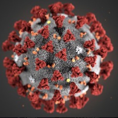 2020 Sickness - Misery