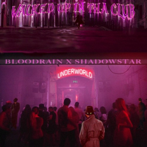 Walked Up In Tha Club W/ SHADOWSTAR