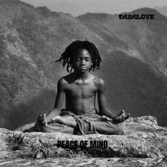 PEACE OF MIND (EXTENTED) - CASALOVE