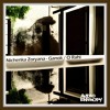 Descargar video: Nichenka Zoryana 'Ganok' [Audio Entropy]