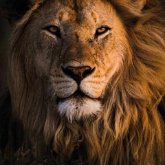 Ruth Less - Heart Of A Lion Money Power Respect Freestyle.mp3