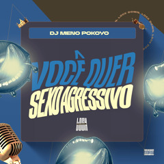 Você Quer Sexo Agressivo