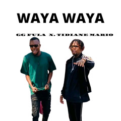 Waya Waya (feat. Tidiane Mario)
