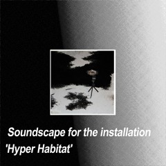 Soundscape for the installation 'Hyper Habitat'