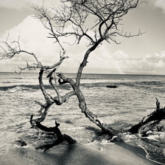 Lament of a Mother (On the Loss of Civil Liberties)