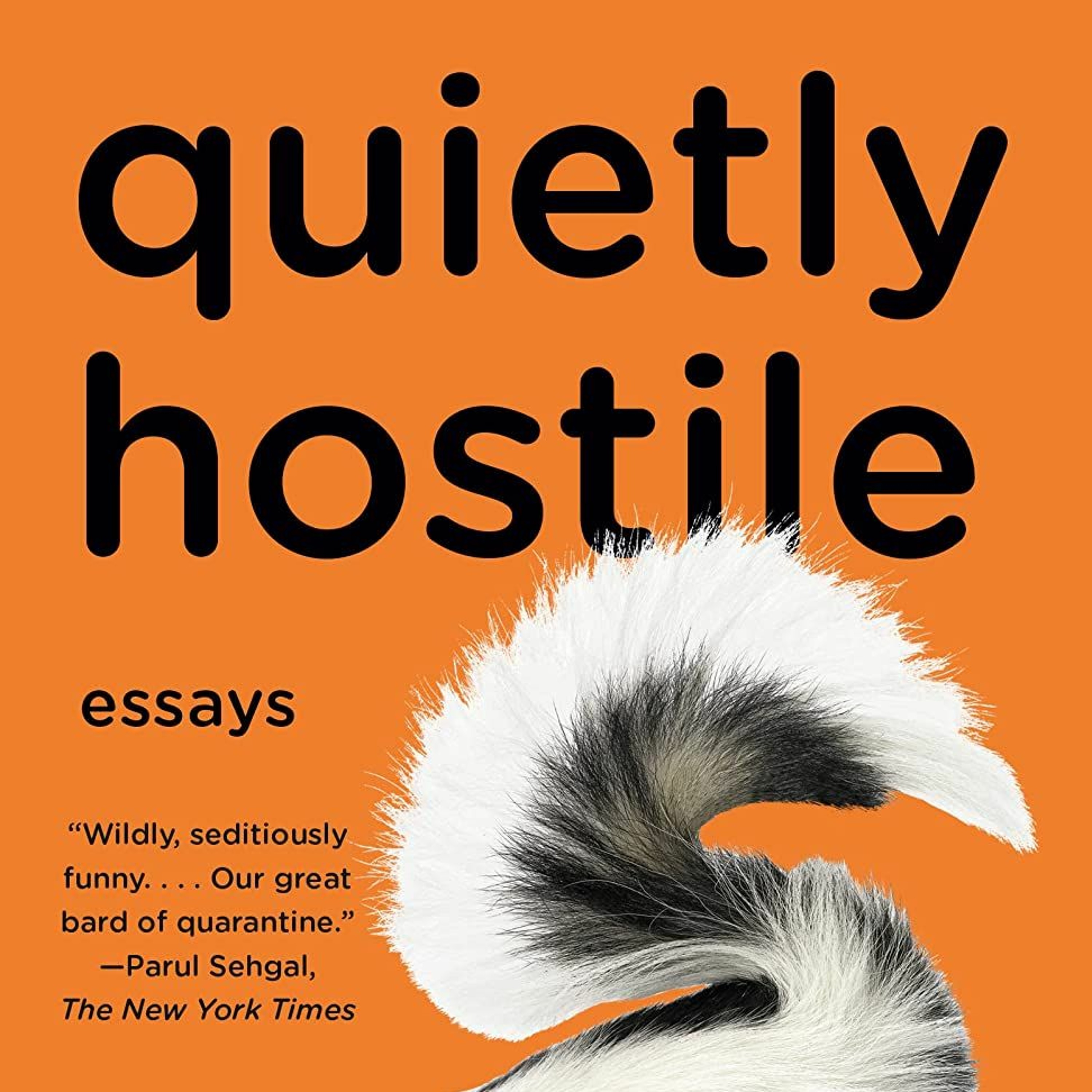 Quietly Hostile by Samantha Irby episode artwork