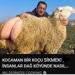 0312 666 76 66 kapasiteniz yetmez