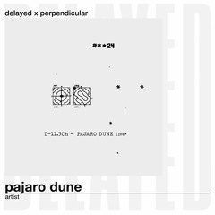 Delayed x Perpendicular: Pajaro Dune (live)