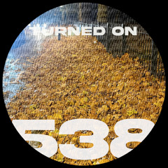 #538: Todd Edwards, Tigerbalm, Make A Dance, Kingpin Cartel, Edd