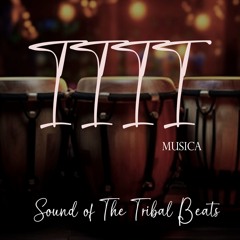 1111 MUSICA - Sound Of The Tribal Beats (Original Mix)