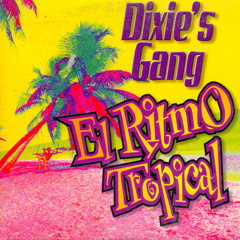 Dixie's Gang - El Ritmo Tropical (H-Stevens Sunny Fx Extended) #Freedownload