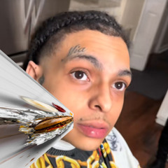 My Review of The Lil Tony Bodega (Hi Hat Roller Kosta)