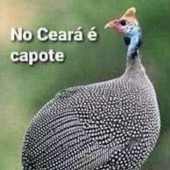 Diss pra todo mundo que eu conheço ou quase 2 (ft.whothegab)