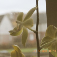 all your heart ˚ʚ♡ɞ˚ prod asperr