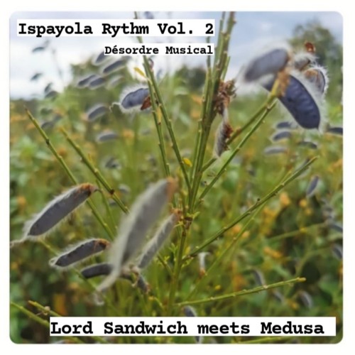 Asymetrics Present: Ispayola Rythm - Désordre Musical