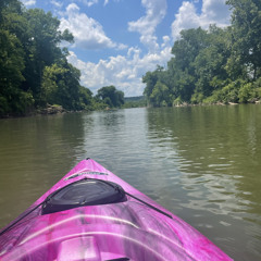 Bitches Broken Hearts (Cover)