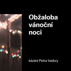 Obžaloba vánoční noci - Petr Vaďura