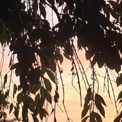 Really (Missile Launch winner Aug 2025)