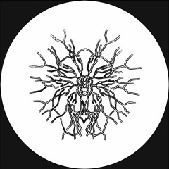 PTTRN - Acta 04 [MT28]