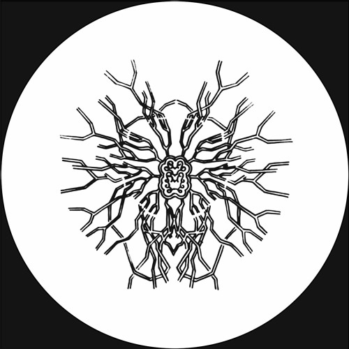 PTTRN - Acta 04 [MT28]