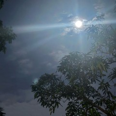 Ai Sẽ Cùng Ta