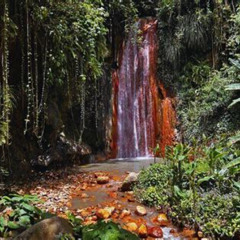 Review Special Price St Lucia Diamond Mineral And Mud Baths Plus Waterfall Adventure