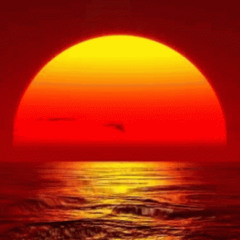 Signals From the Block