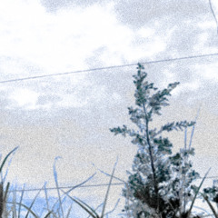 ANTICHRIST-THE1975-SALVALA-AMBIENT-MIX