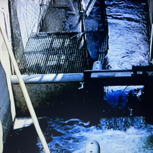 from now until i die