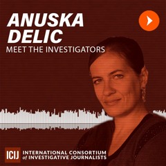 Meet the Investigators: Anuska Delic