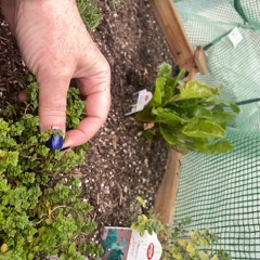 Meditation on my Physical Body