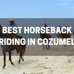 Best Cozumel Beach Horseback Riding Tour Tours Review