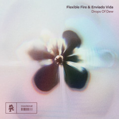 Flexible Fire & Enviado Vida - Drops Of Dew