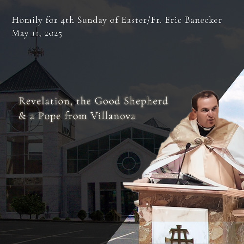 Stream Revelation, the Good Shepherd & a Pope from Villanova | Fr. Eric ...