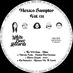 MS001- Dj Siniestro - Return Me To Earth (White Deer Records)