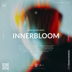 RÜFÜS DU SOL - Innerbloom (BUNT. 'In The Round' Remix)